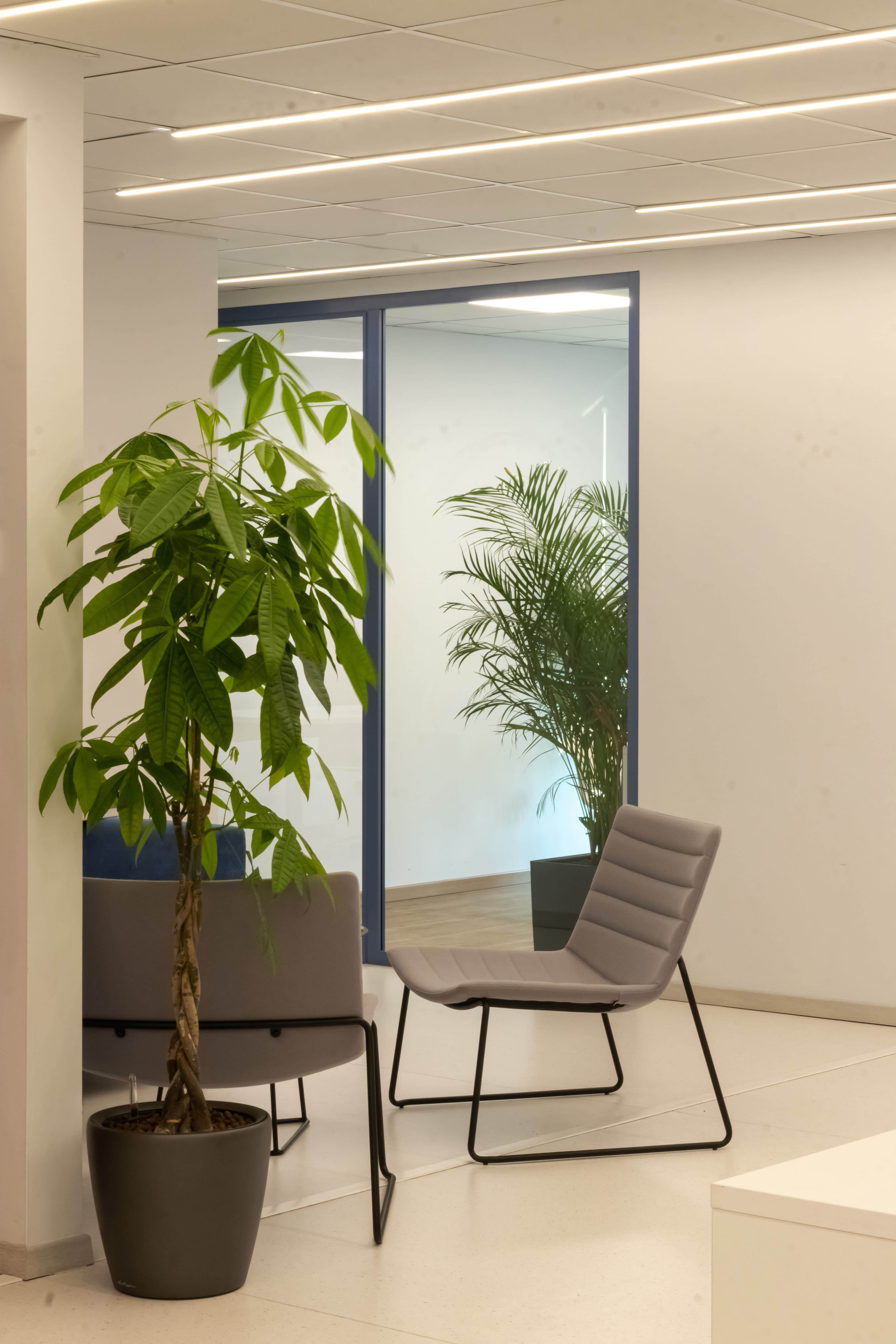 Office 5